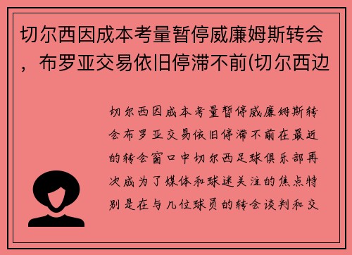 切尔西因成本考量暂停威廉姆斯转会，布罗亚交易依旧停滞不前(切尔西边锋威廉)