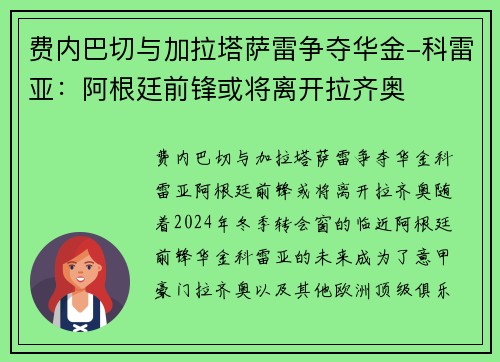 费内巴切与加拉塔萨雷争夺华金-科雷亚：阿根廷前锋或将离开拉齐奥