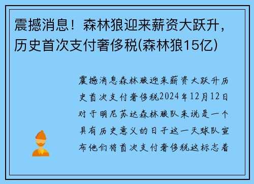 震撼消息！森林狼迎来薪资大跃升，历史首次支付奢侈税(森林狼15亿)